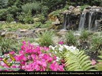 02-landscapes (23).jpg