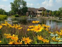 08-landscapes (3).jpg 08-landscapes (3).jpg