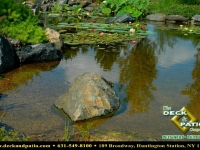 12-landscapes (7).jpg 12-landscapes (7).jpg