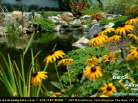 25-landscapes (1).jpg 25-landscapes (1).jpg