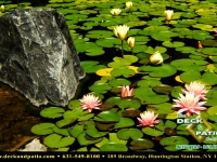 26-landscapes (3).jpg 26-landscapes (3).jpg