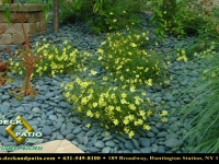 48-landscapes (13).jpg 48-landscapes (13).jpg