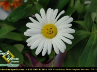 50-landscapes (16).jpg 50-landscapes (16).jpg