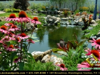 55-landscapes (2).jpg 55-landscapes (2).jpg