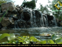 56_1 pondswaterfeatures (22).jpg 56_1 pondswaterfeatures (22).jpg