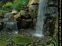 11-pondswaterfeatures (36).jpg 11-pondswaterfeatures (36).jpg