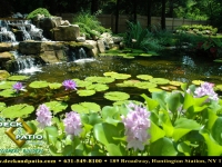 8-pondswaterfeatures (18).jpg 8-pondswaterfeatures (18).jpg