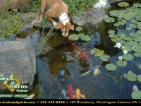 29_1 pondswaterfeatures (11).jpg 29_1 pondswaterfeatures (11).jpg