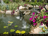 42_1 pondswaterfeatures (65).jpg
