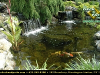 48_1 pondswaterfeatures (84).jpg 48_1 pondswaterfeatures (84).jpg