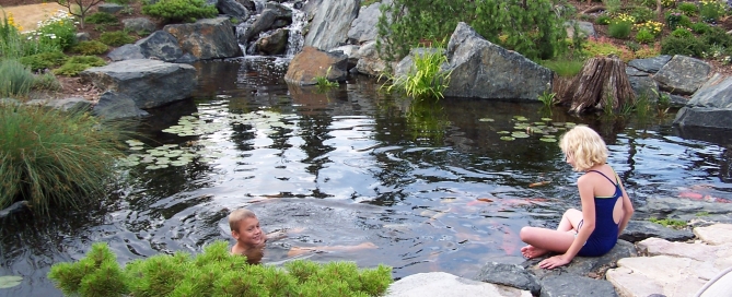Swimming with the Koi: