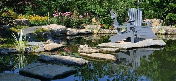 Man-made Natural Pond: