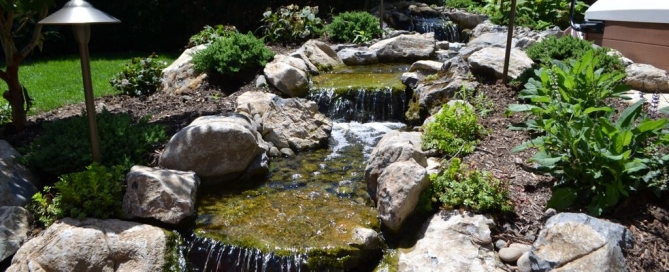 Backyard Focal Points: