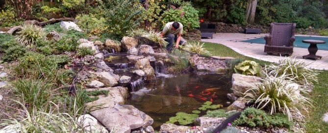 Preparing Backyard for Fall: