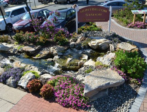 Water Features on Public Lands Offer Beauty and Tranquility