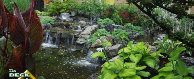 Landscaping Around a Pond:
