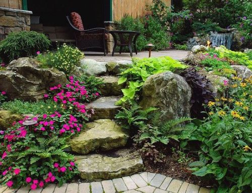 Creating a ‘Breathe-Free Refuge’ at Home