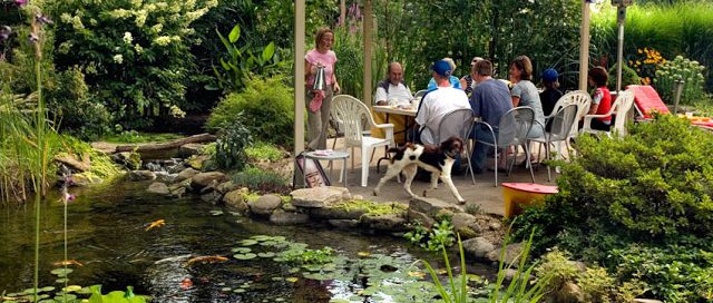 Dining Al Fresco By a Pond:
