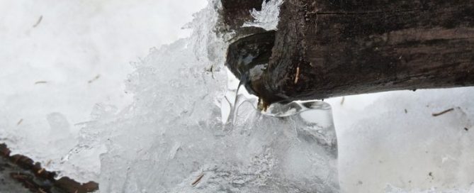 Winterizing Water Gardens