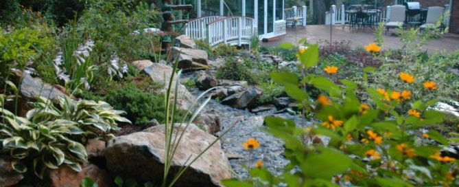 Deck and Patio created this naturally-sustained eco-system