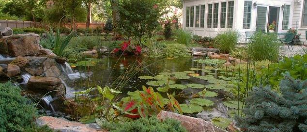 Aquatic Plants are Helpful