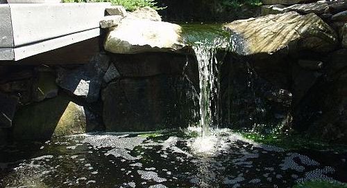Micro Pond by Deck and Patio