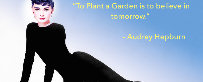 Spring Flowers Inspiration: