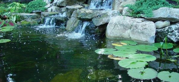 Deck and Patio Ponds