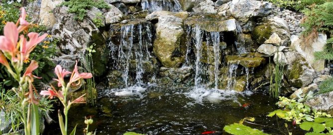 Landscaping is also for the birds