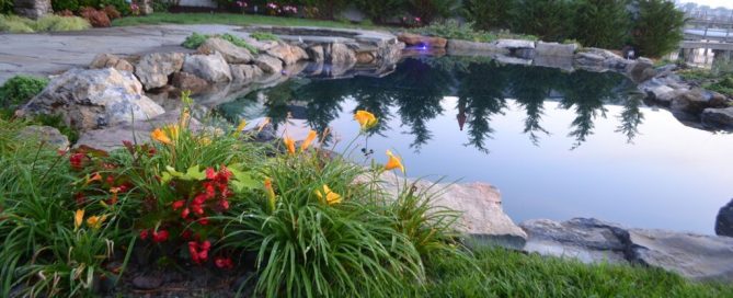 Picture-Perfect Swimming Pool: