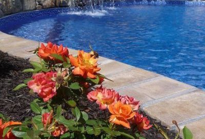 Go Bold with Your Poolscape (Long Island/NY):