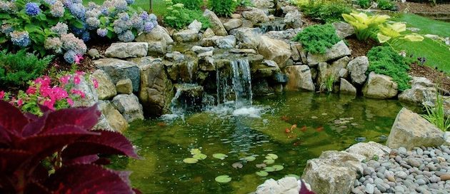 Free-form Pond and Stream: