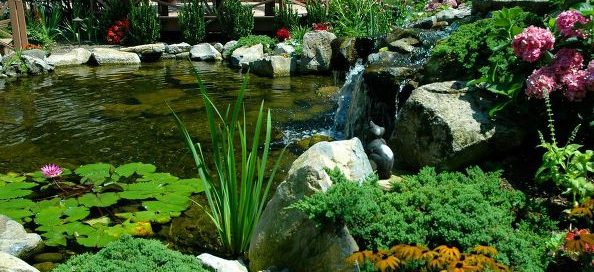 Ponds, Decks, and Landscaping