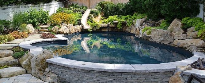 Trees add value to any landscape