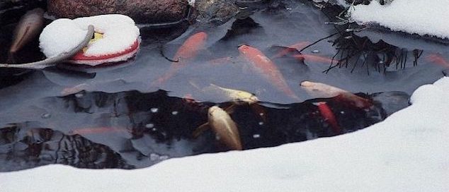 Ponds in Winter/Photo courtesy of Aquascape Inc.