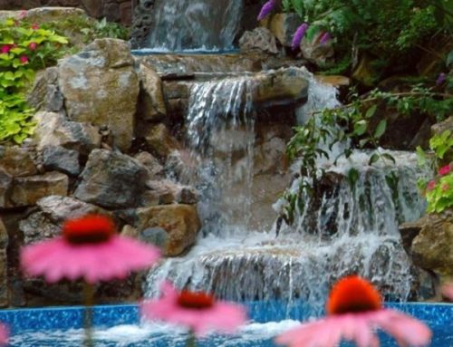 Pantone’s 2023 Color of the Year: Living the ‘Viva Magenta’ Life